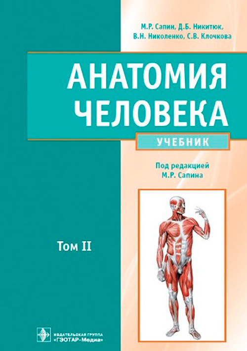 Анатомия человека. Учебник в 2 томах. Том II