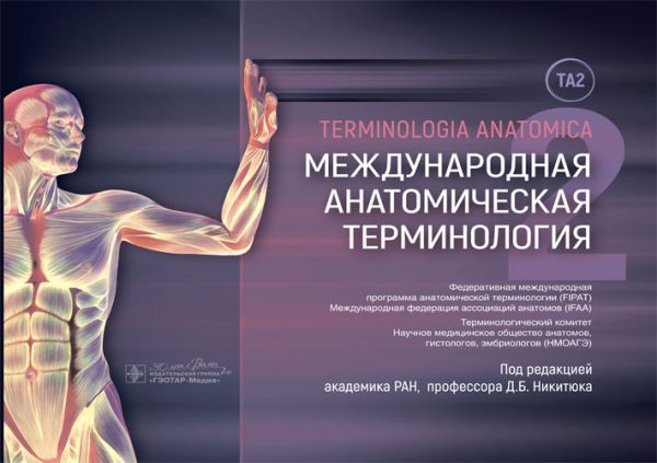 Международная анатомическая терминология