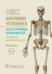 Анатомия человека. Кости туловища и конечностей. Карточки
