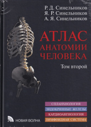 Атлас анатомии человека. В 3-х томах. Том 2 (уценка 40)