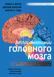 Атлас анатомии головного мозга (уценка 40)