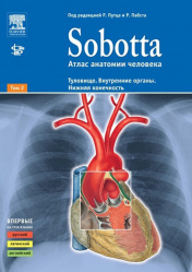 Sobotta. Атлас анатомии человека в 2 томах. Том 2